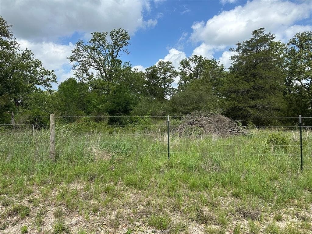 2 acres in Lee County - photo 6