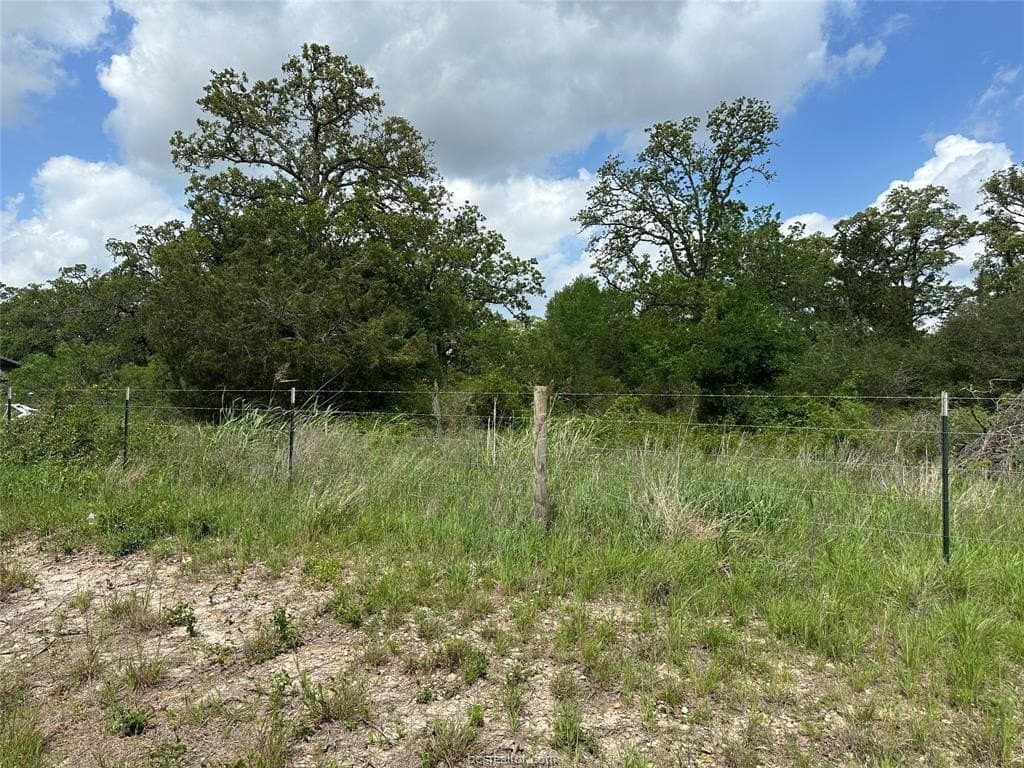 2 acres in Lee County - photo 7
