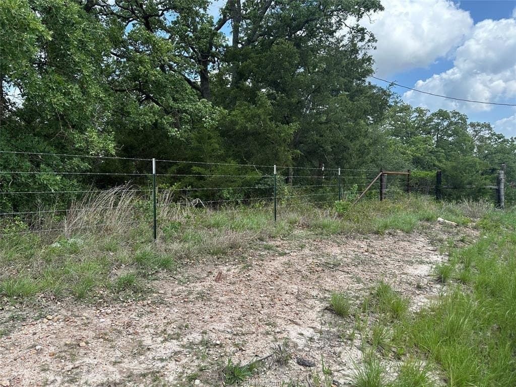 2 acres in Lee County gallery image 4