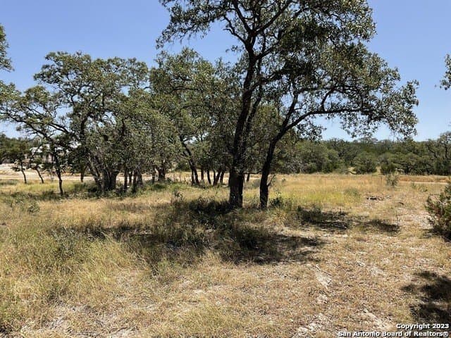 1.02 acres in Comal County gallery image 2