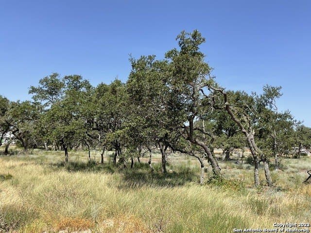 1.02 acres in Comal County gallery image 4
