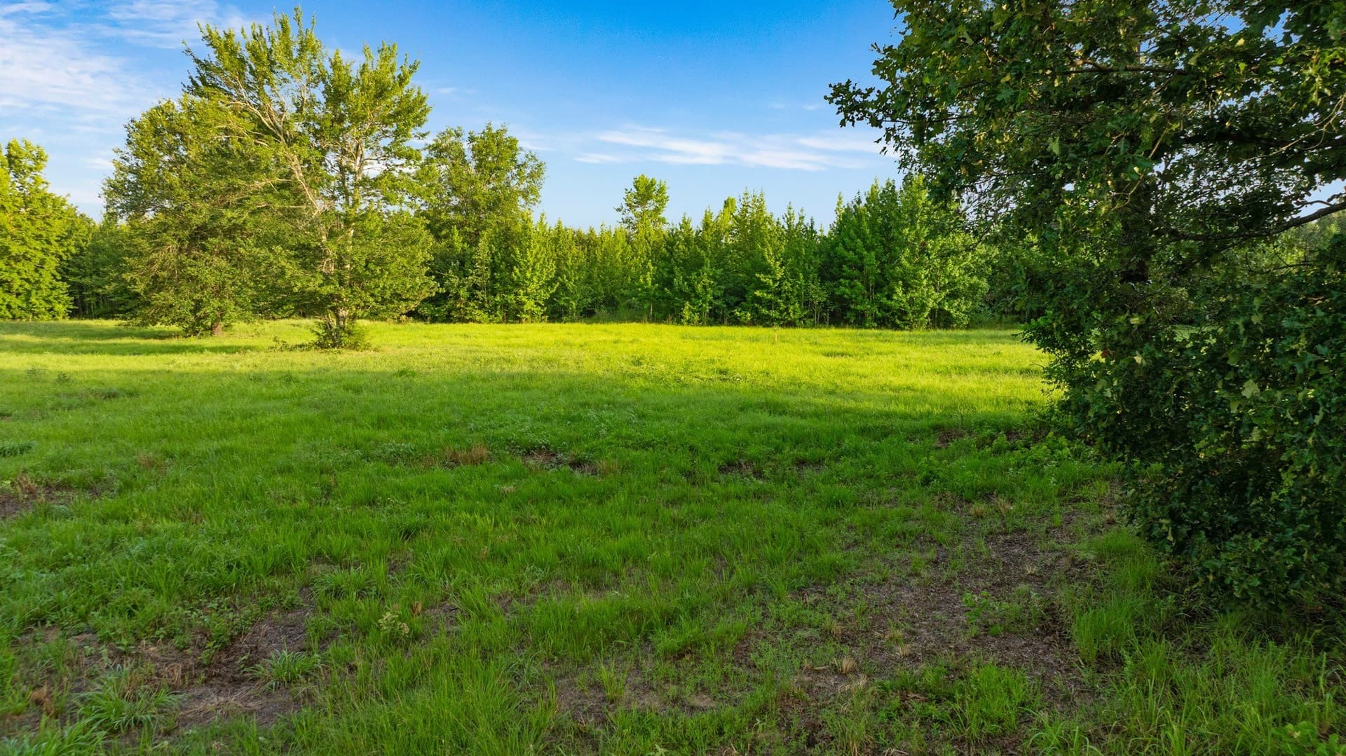 24.99 acres in Lamar County - photo 8