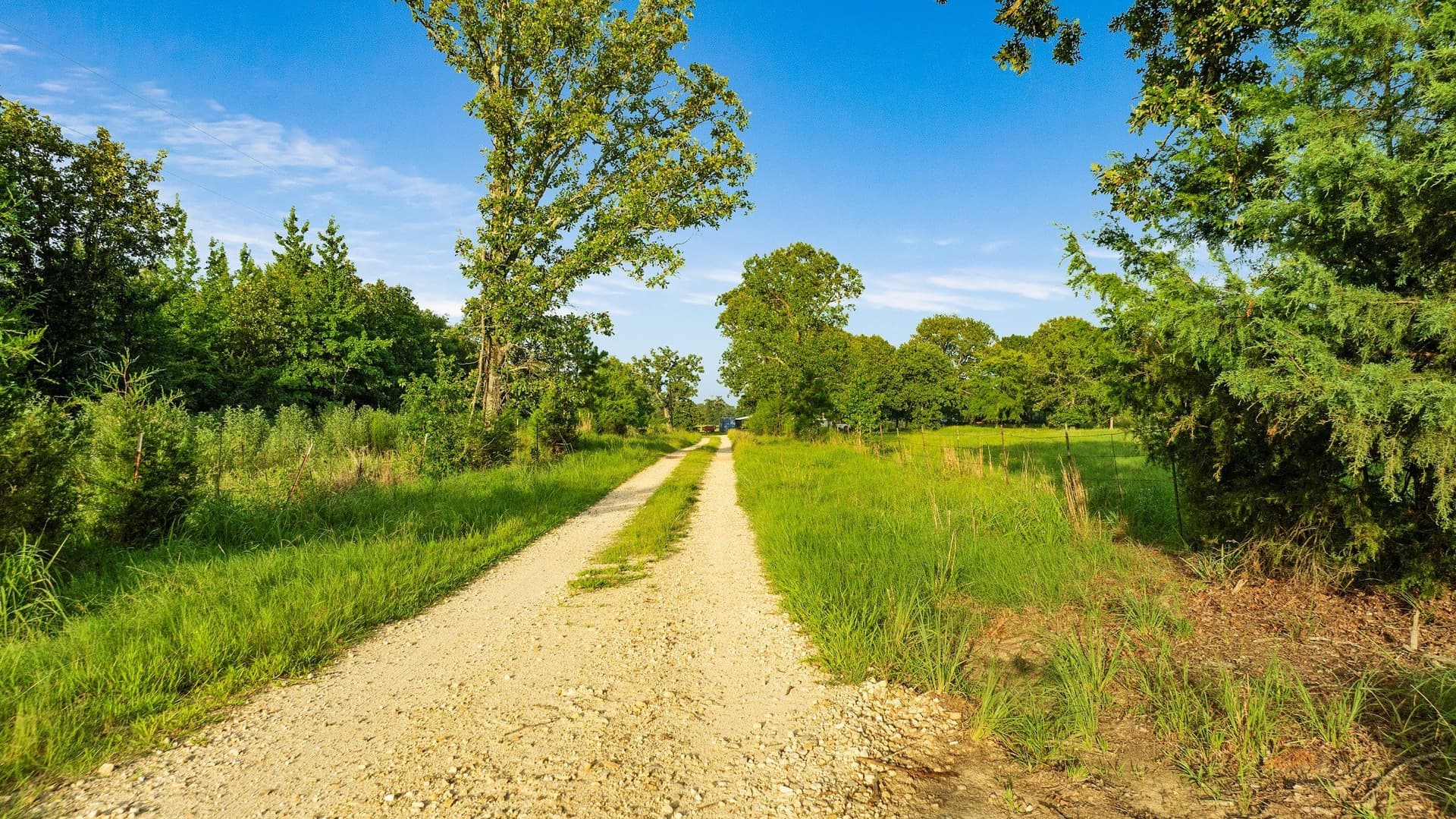 24.99 acres in Lamar County - photo 2