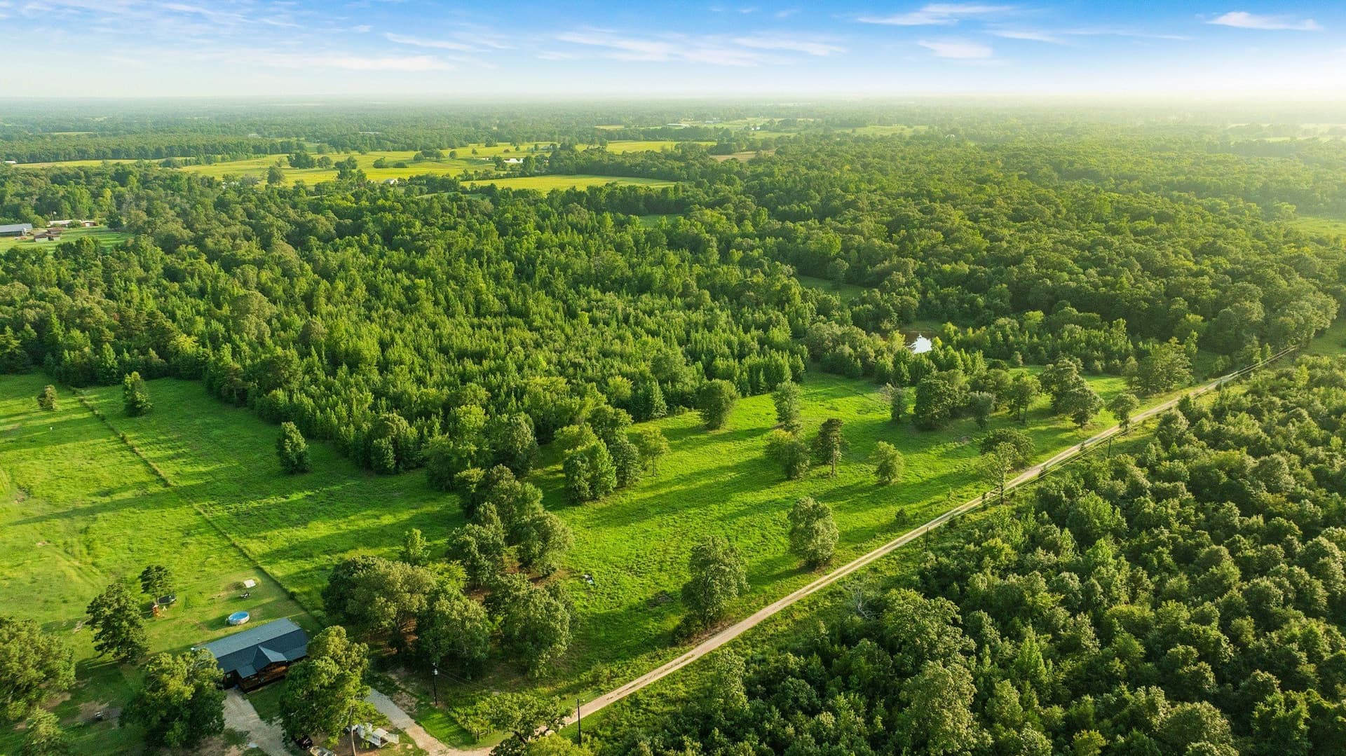 24.99 acres in Lamar County - photo 4