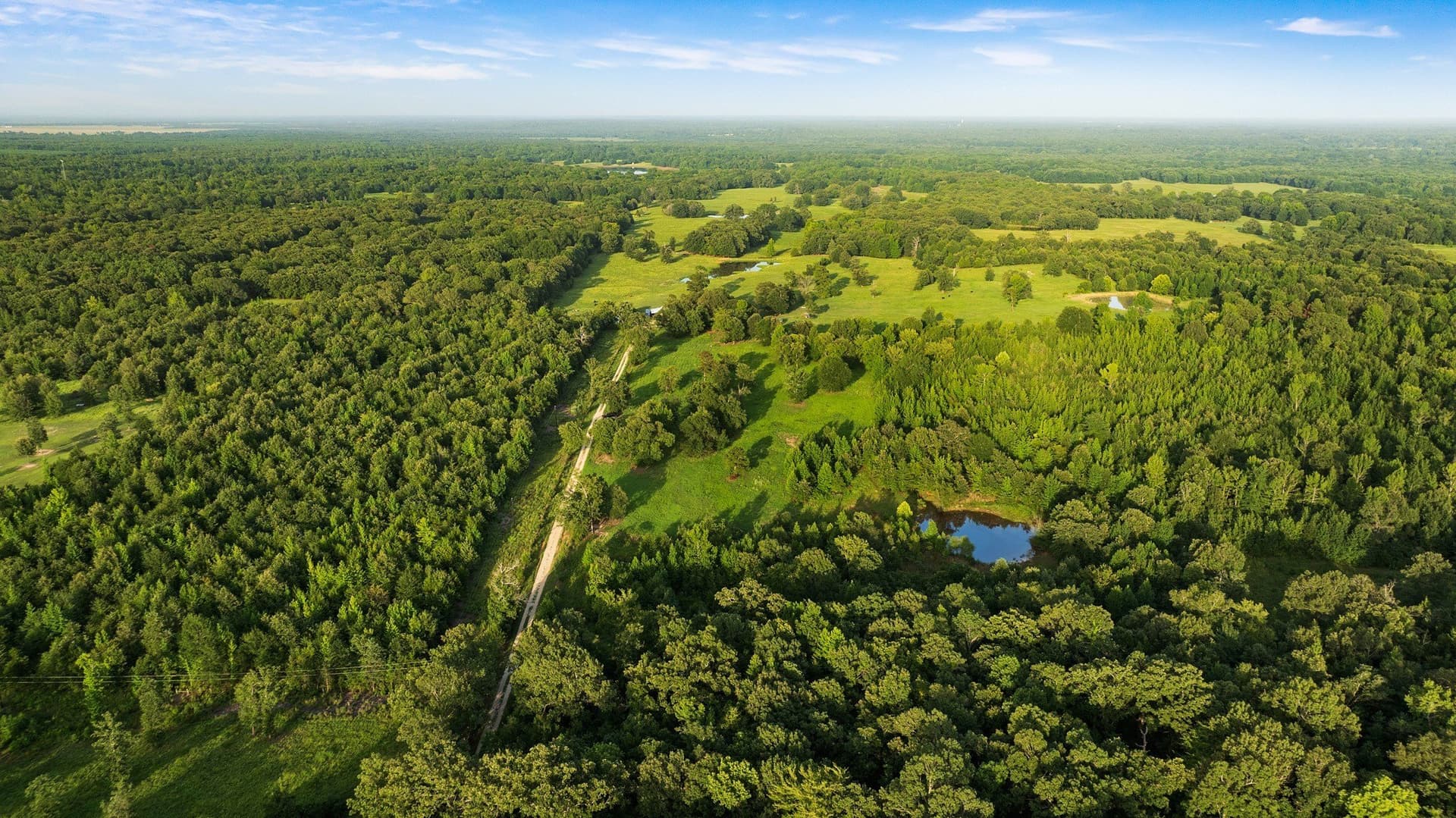 24.99 acres in Lamar County - photo 6