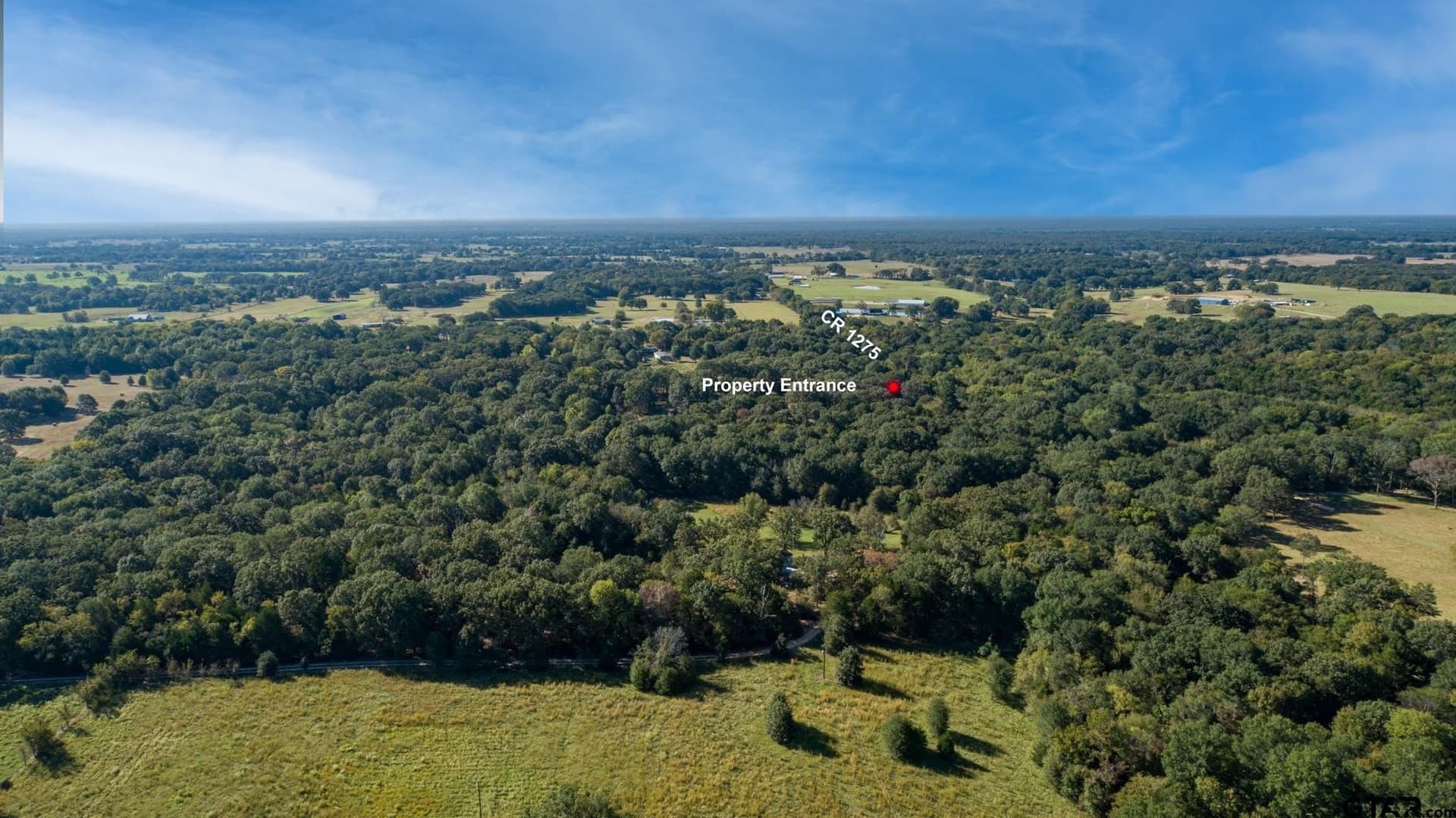 18.54 acres in Rains County - photo 9
