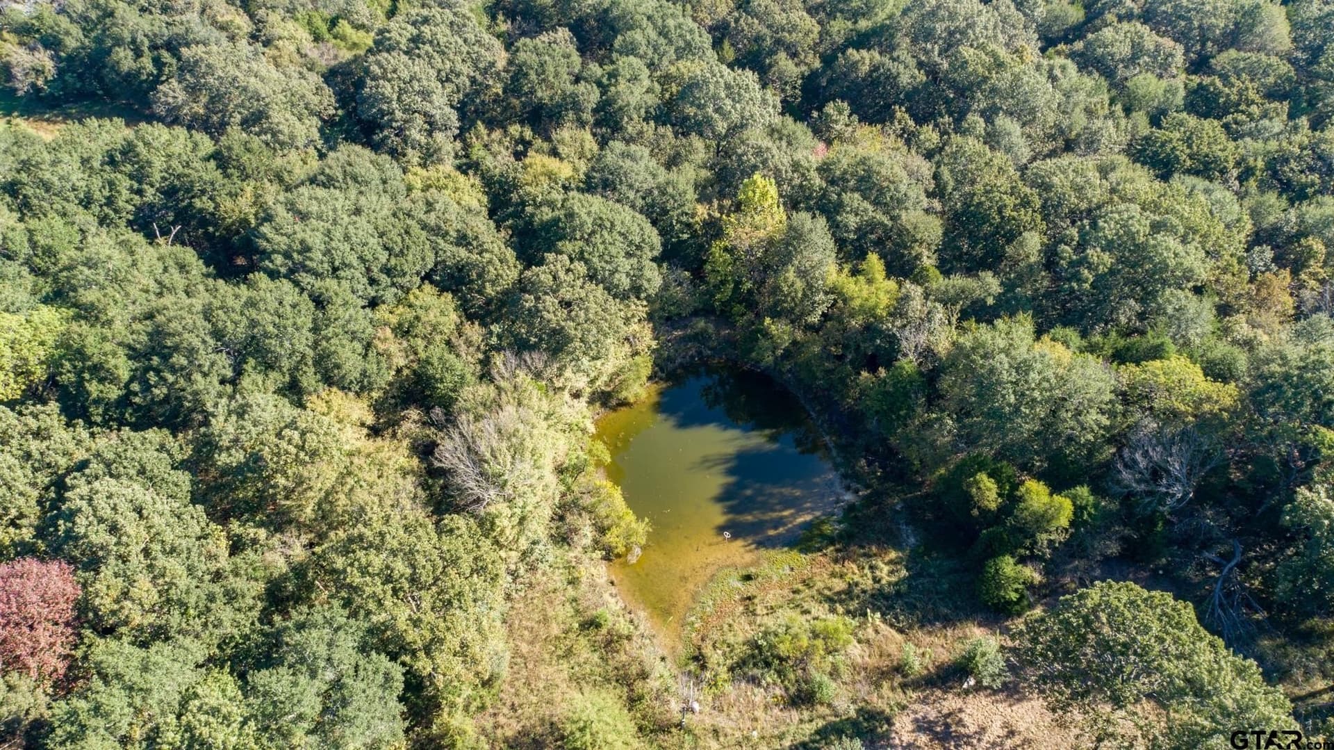 18.54 acres in Rains County - photo 11
