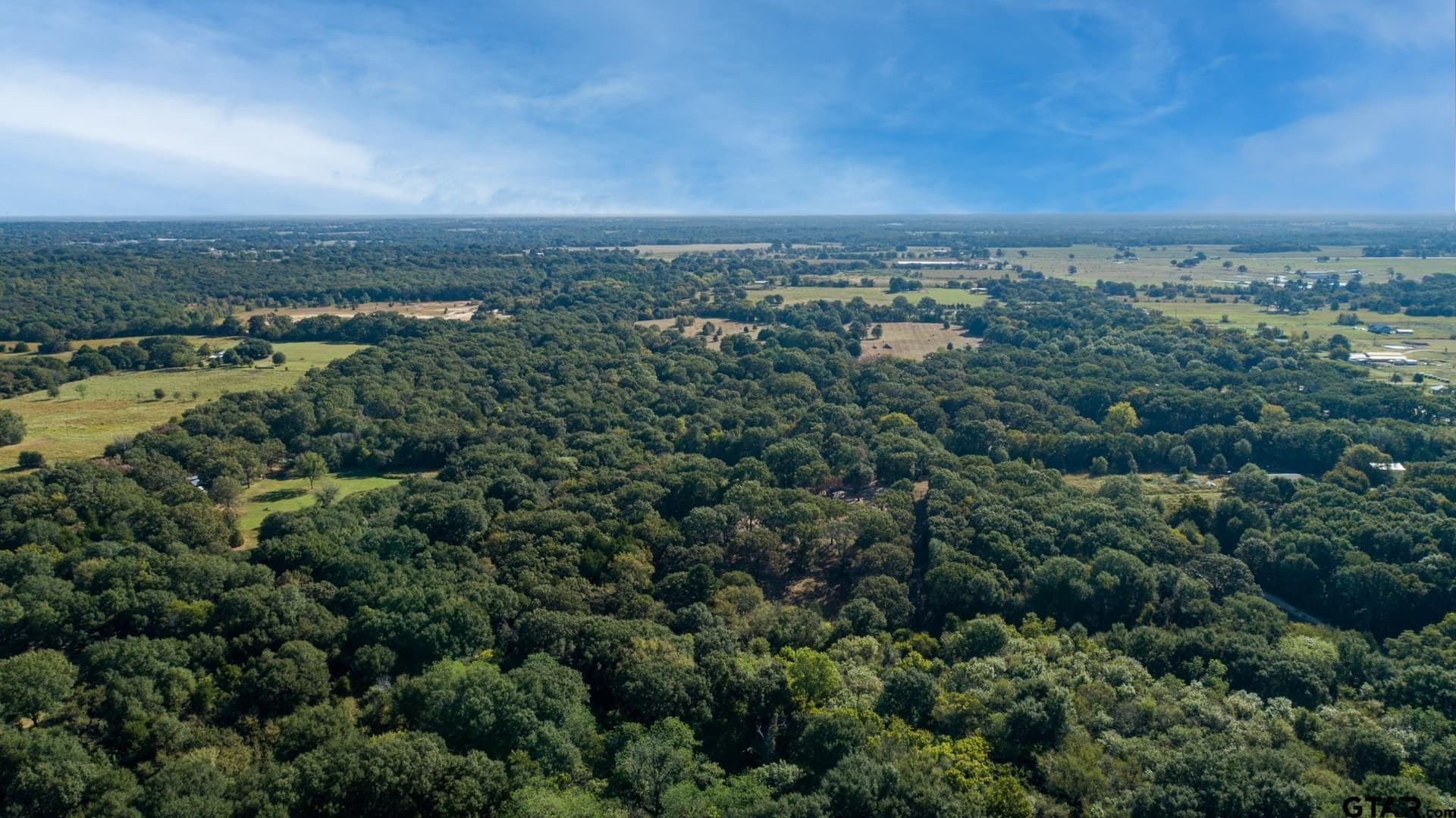18.54 acres in Rains County - photo 4