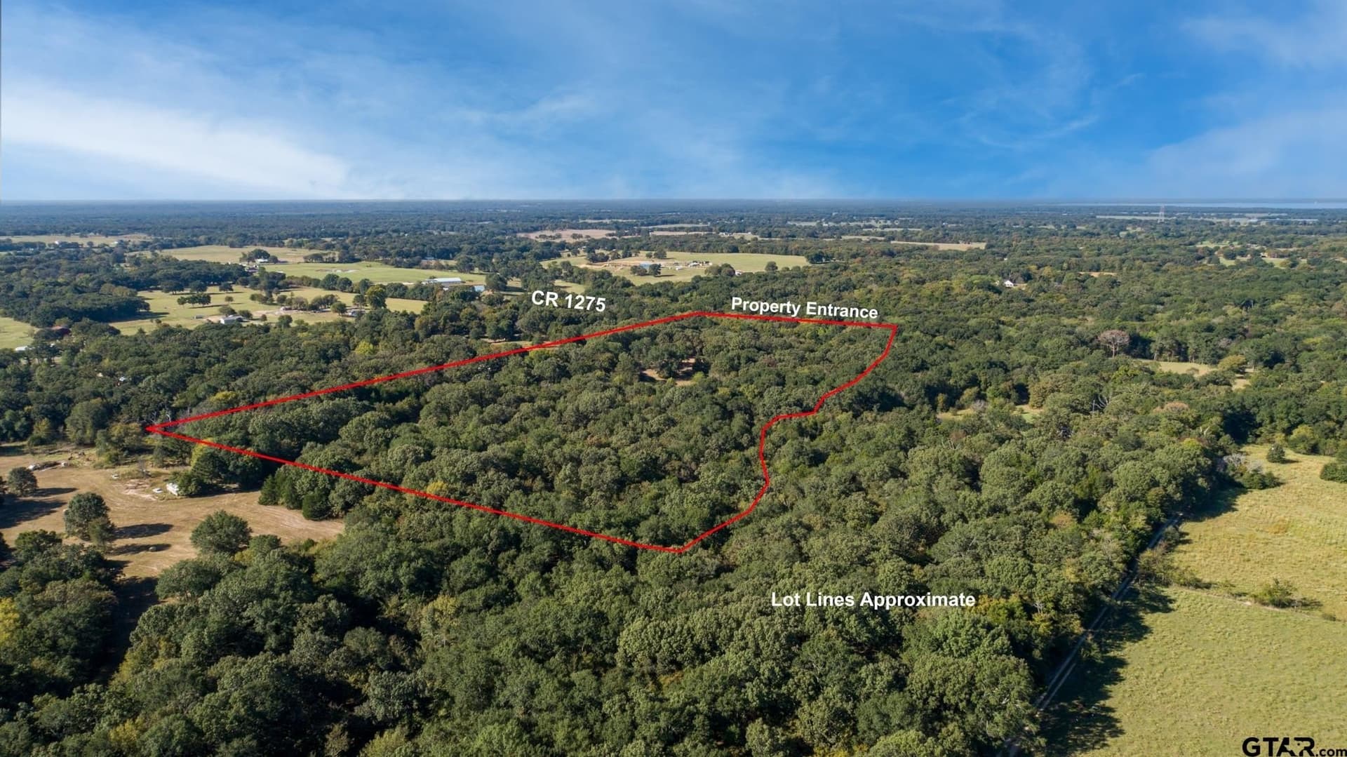 18.54 acres in Rains County - photo 8