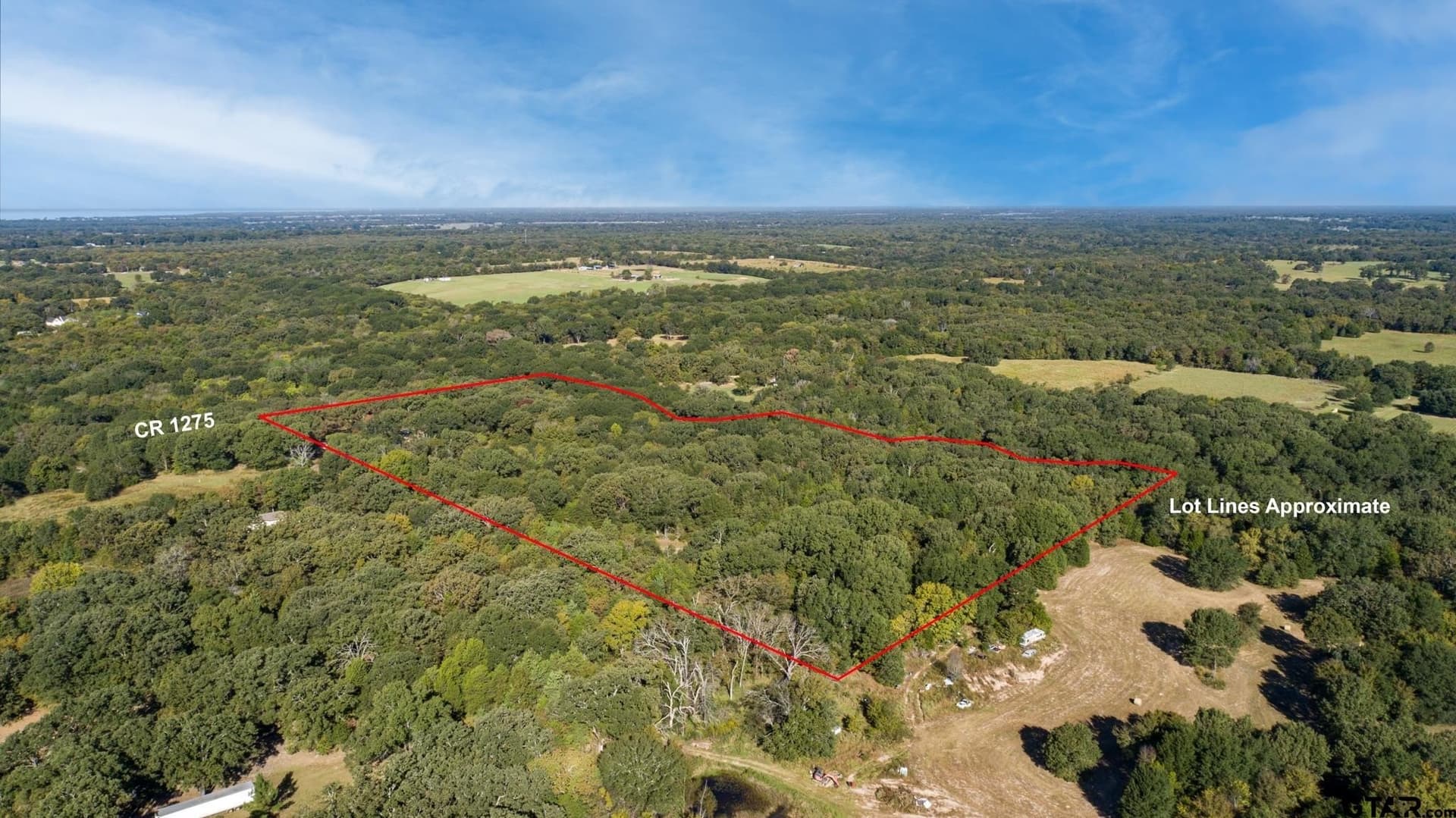 18.54 acres in Rains County - photo 5