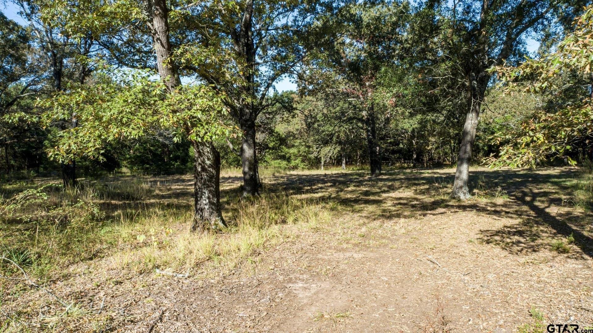 18.54 acres in Rains County - photo 12
