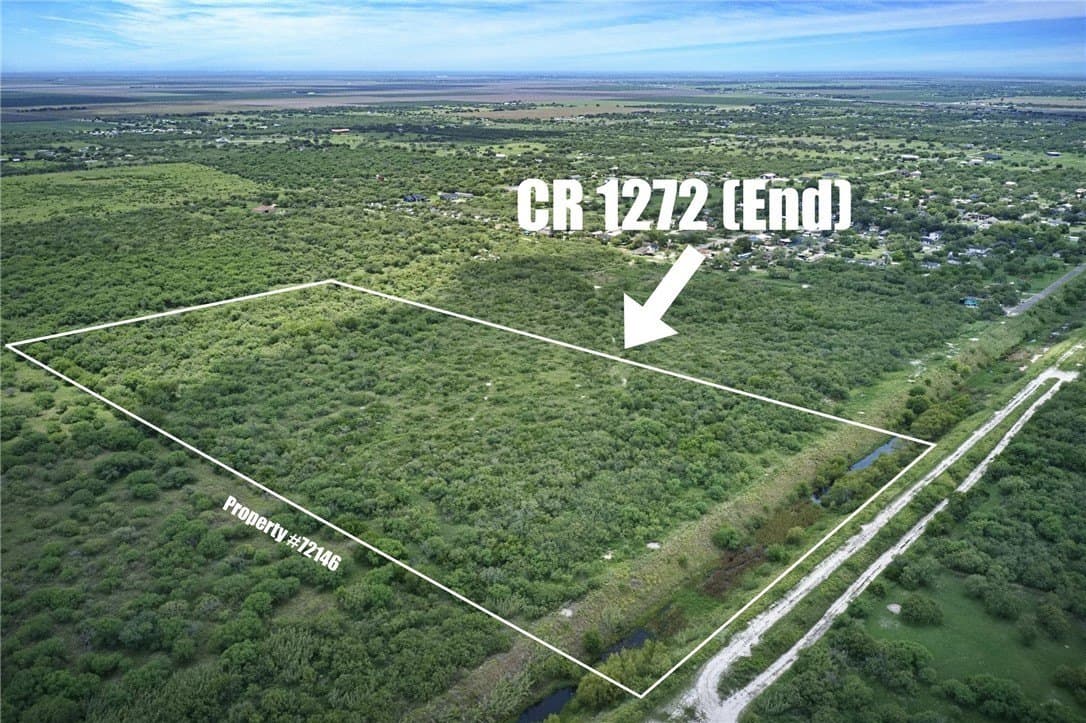 20 acres in San Patricio County gallery image 2