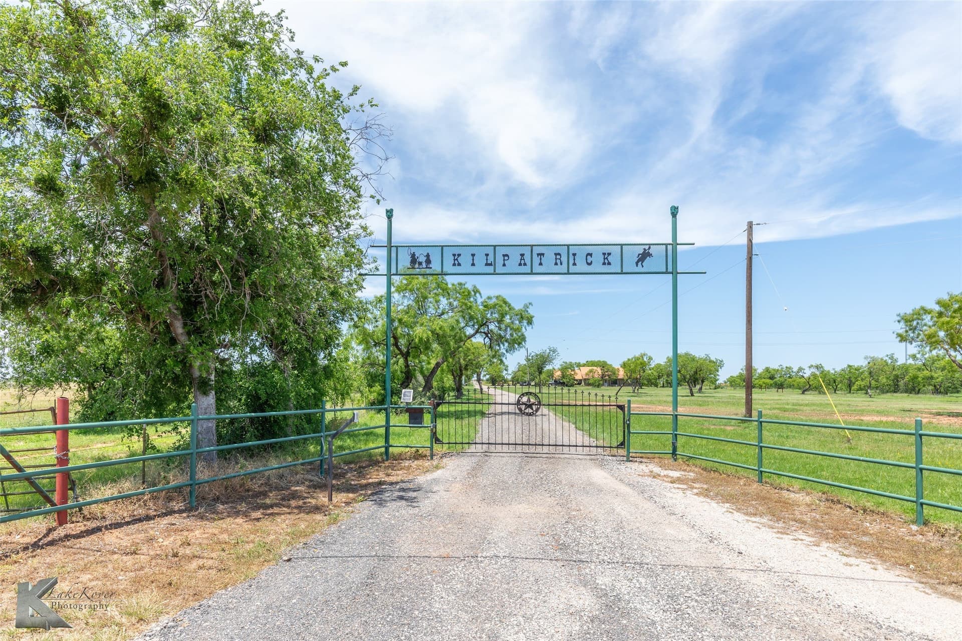 33.26 acres in Taylor County gallery image 2