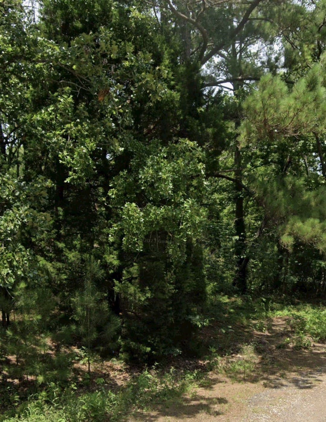 0.49 acres in Henderson County gallery image 2