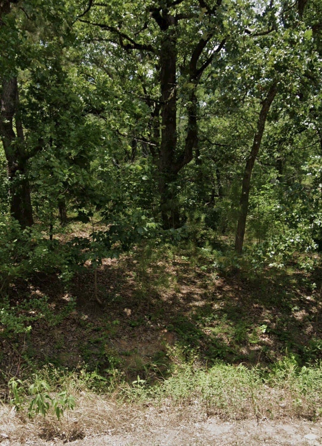0.49 acres in Henderson County gallery image 3