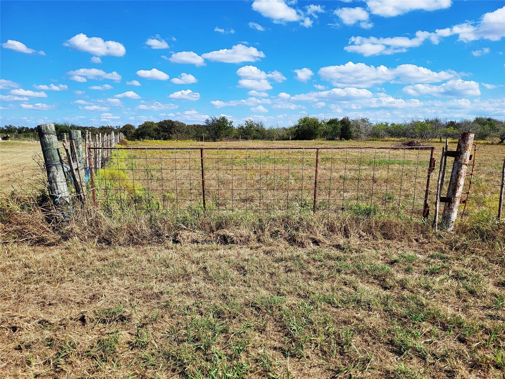 1.8 acres in Limestone County featured view