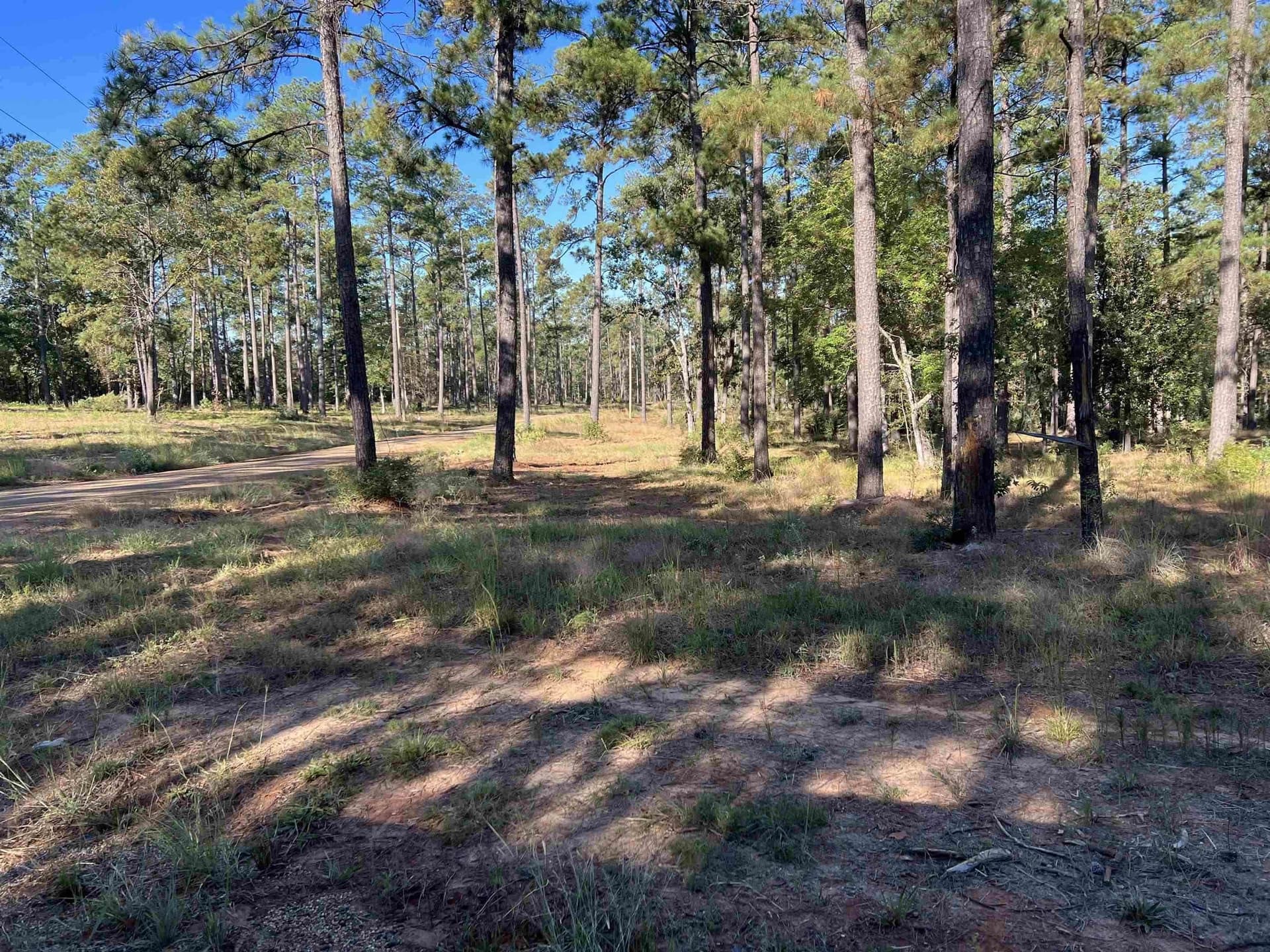 1.74 acres in Texas County