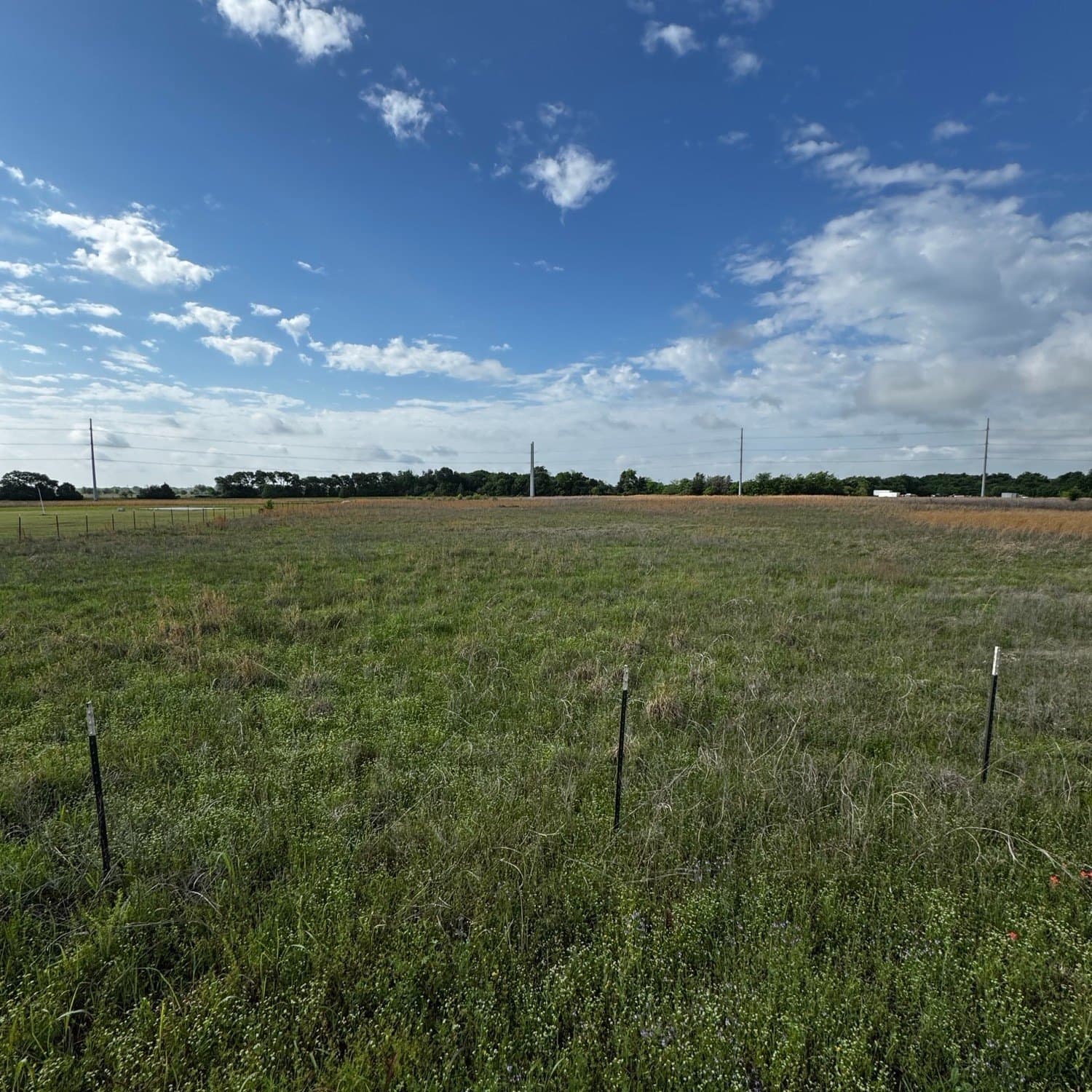 6 acres in Van Zandt County - photo 3