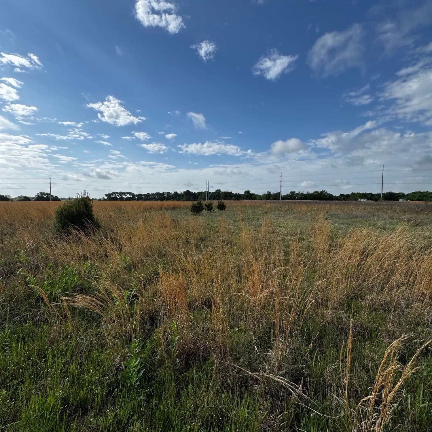 6 acres in Van Zandt County - photo 4