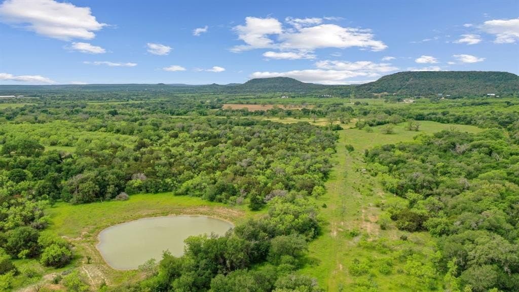 212.52 acres in Palo Pinto County gallery image 3
