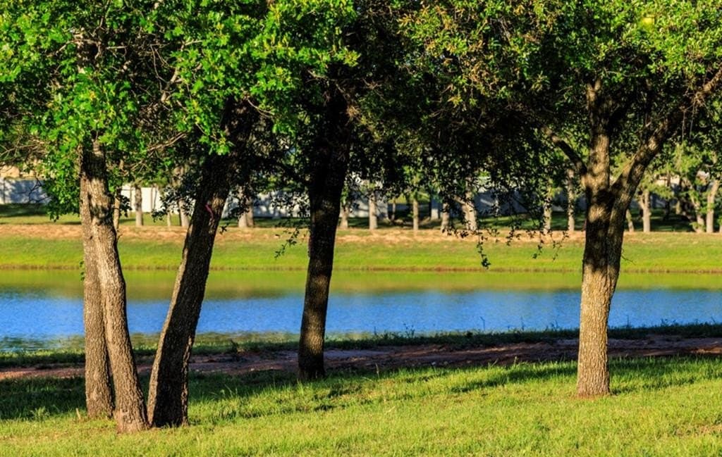 0.36 acres in Gillespie County - photo 11