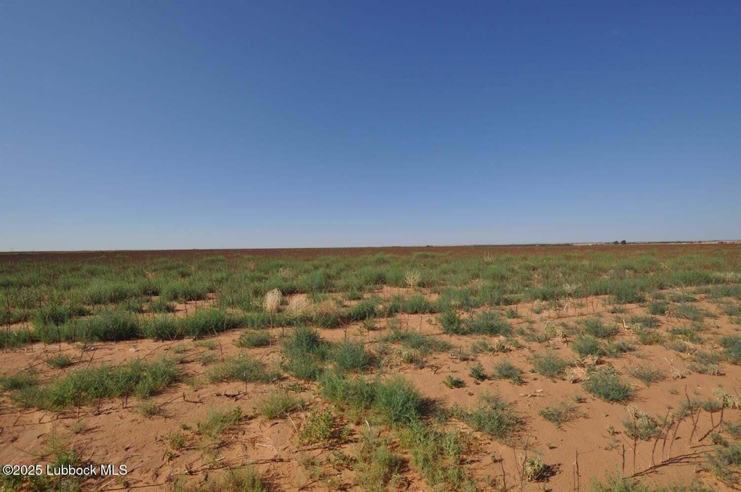 10.02 acres in Lubbock County gallery image 3