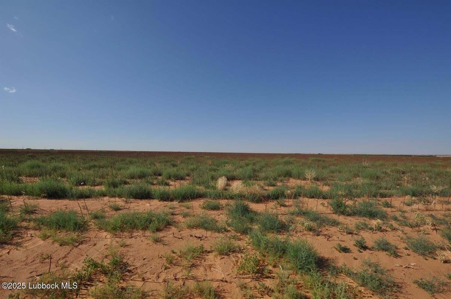 10.02 acres in Lubbock County gallery image 2