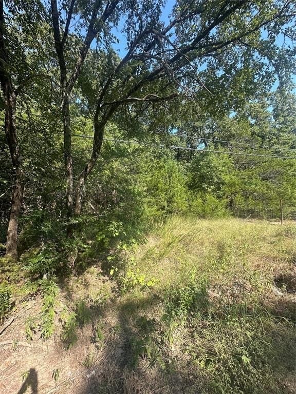 0.83 acres in Hunt County gallery image 2