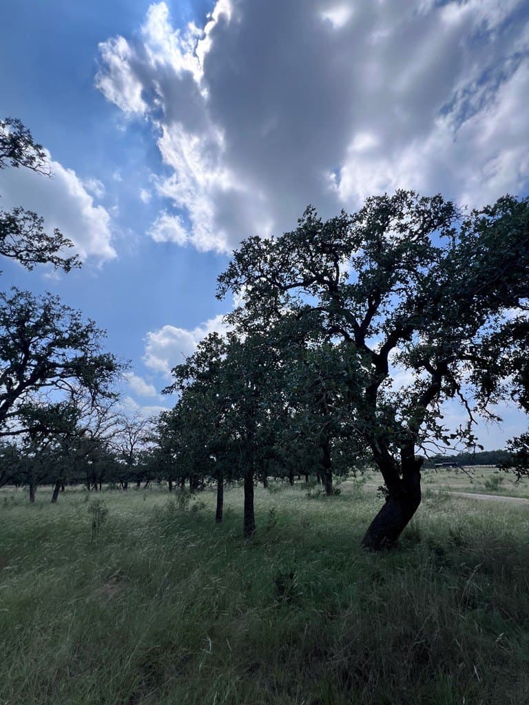 5.7 acres in Gillespie County gallery image 2