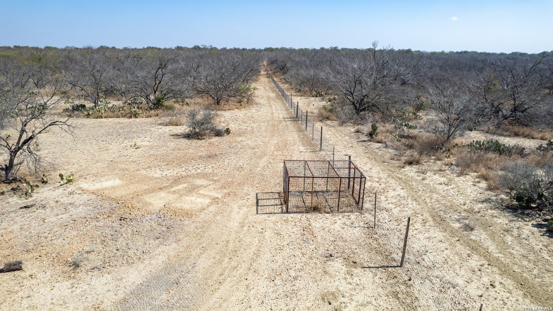 14.4 acres in Zavala County - photo 23