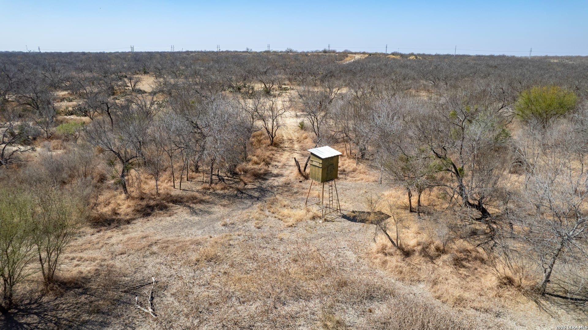 14.4 acres in Zavala County - photo 20