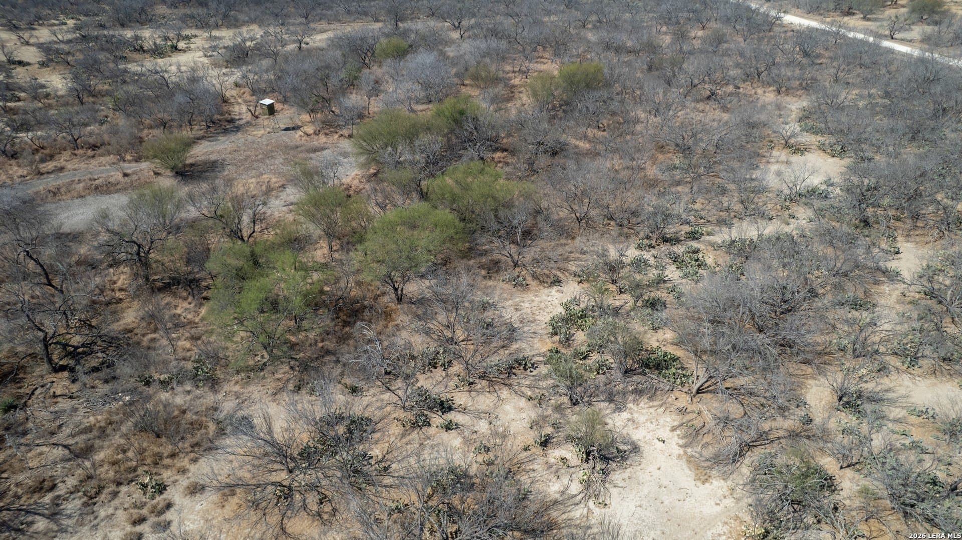 14.4 acres in Zavala County - photo 17