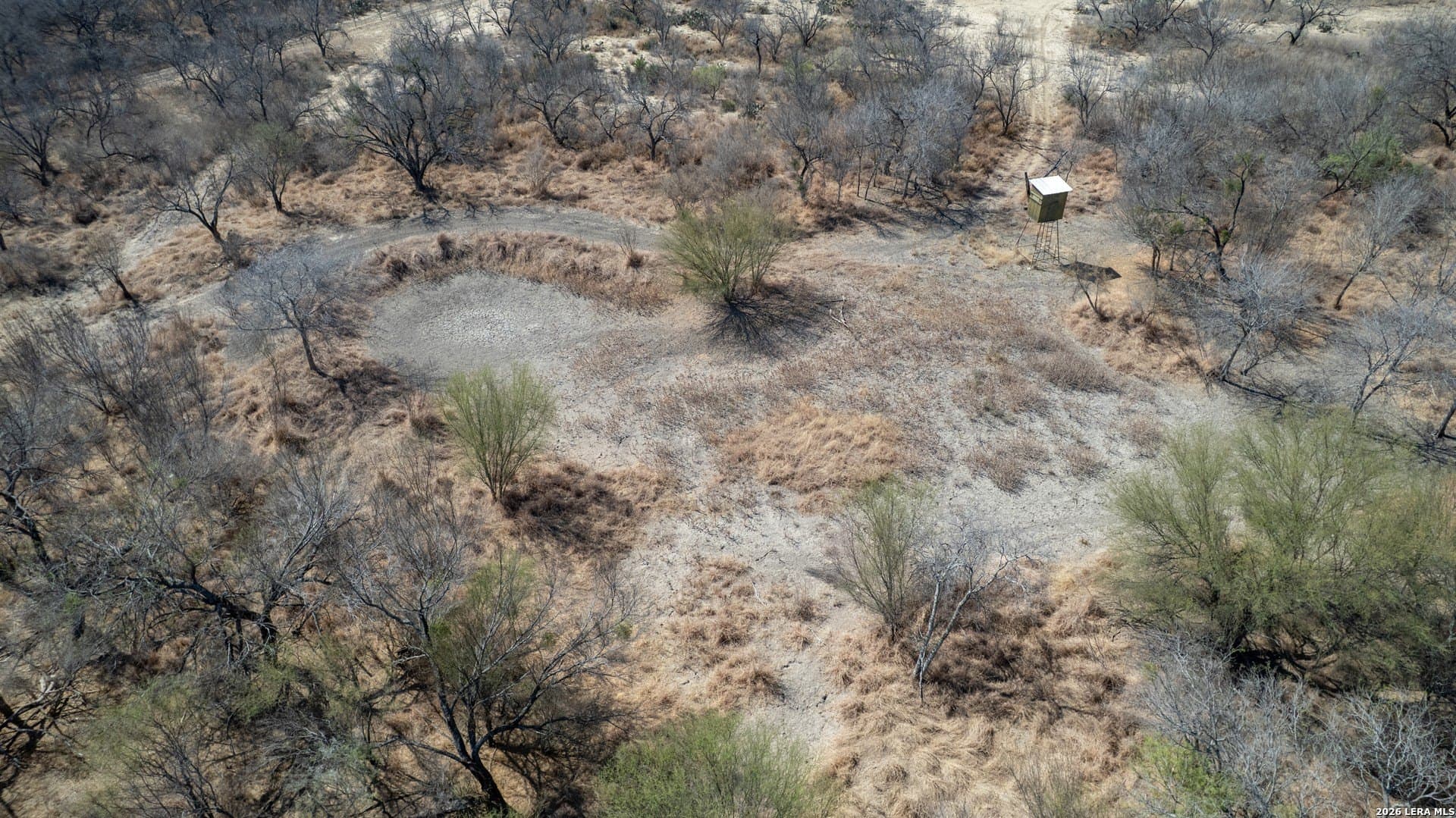 14.4 acres in Zavala County - photo 18