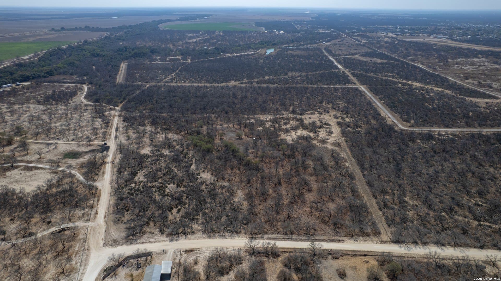 14.4 acres in Zavala County - photo 7