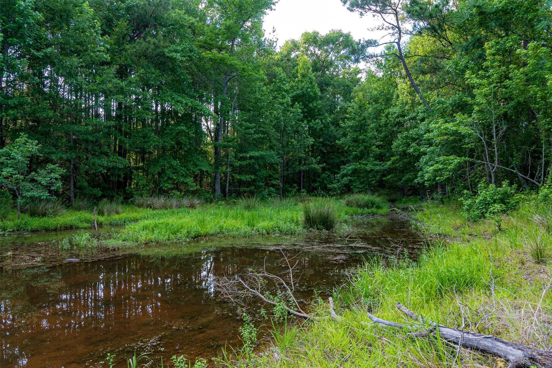387.1 acres in Cherokee County gallery image 2