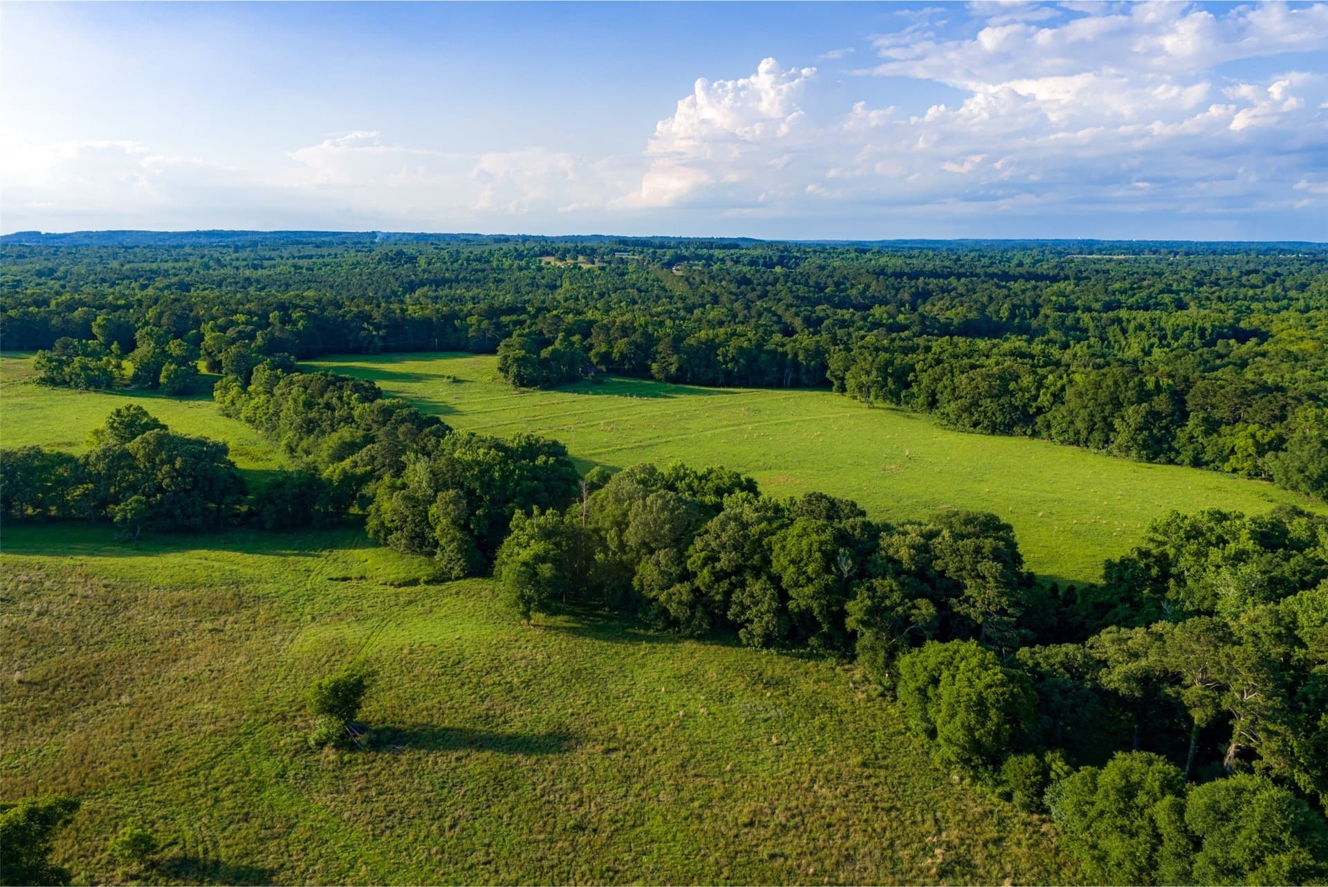 387.1 acres in Cherokee County gallery image 4