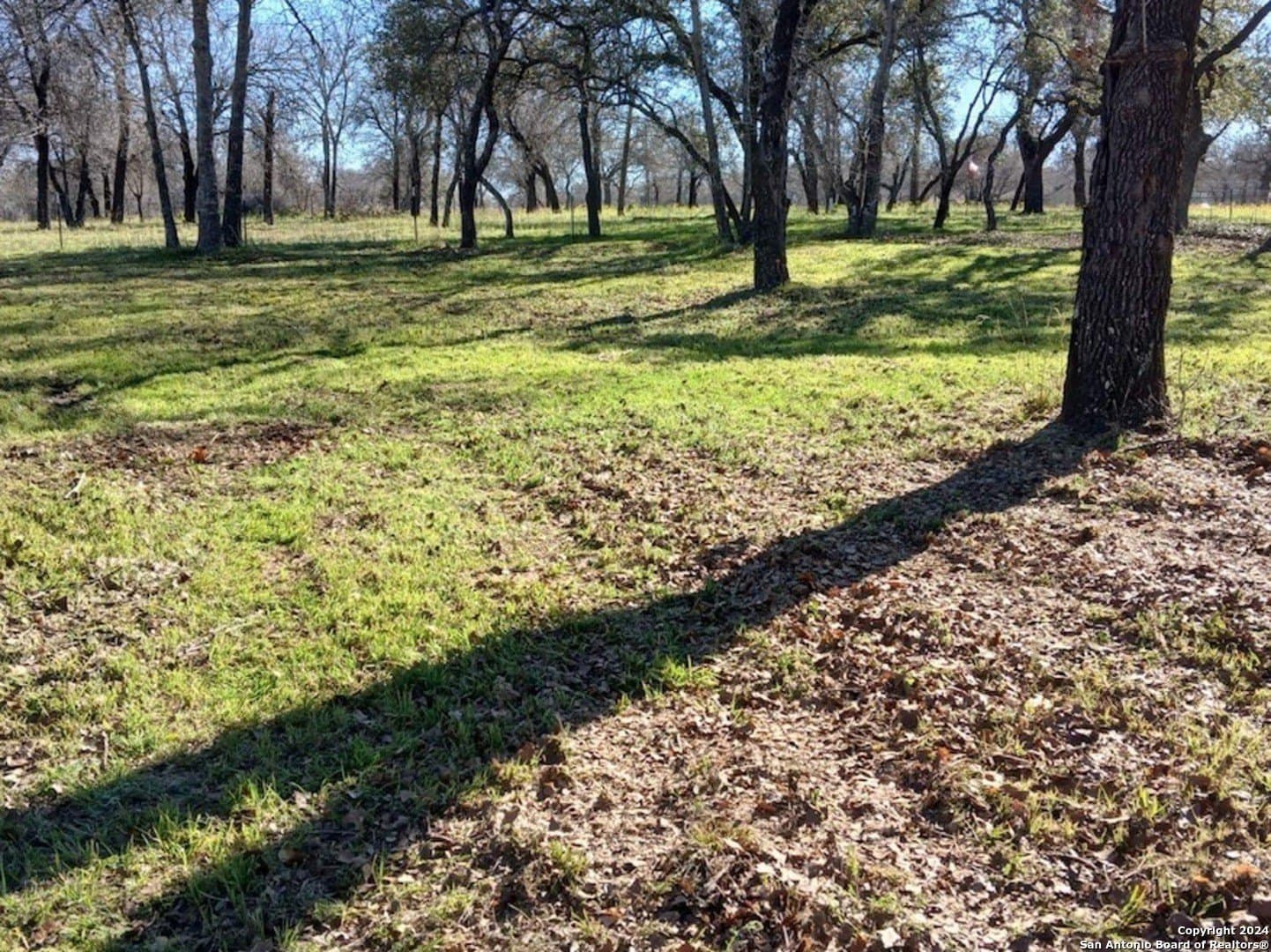 1.5 acres in Medina County gallery image 4