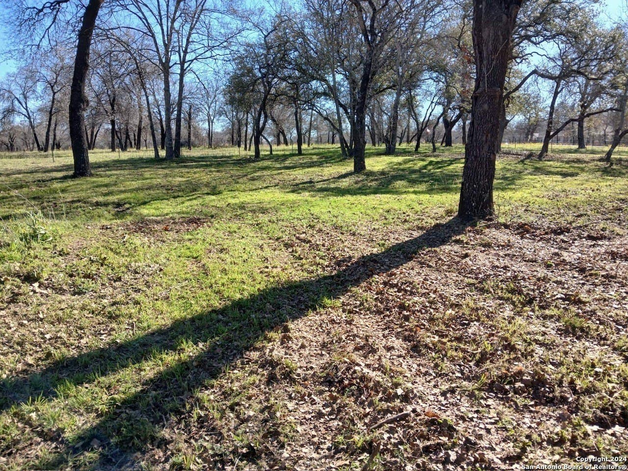 1.5 acres in Medina County gallery image 3