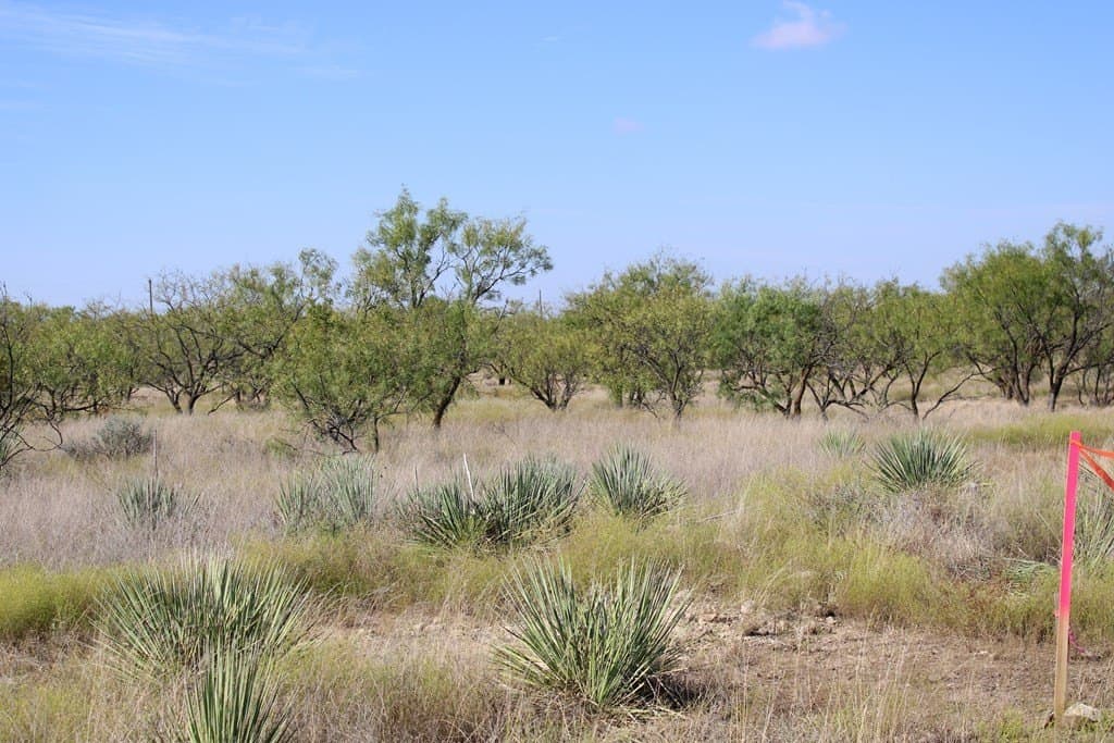60 acres in Runnels County - photo 3