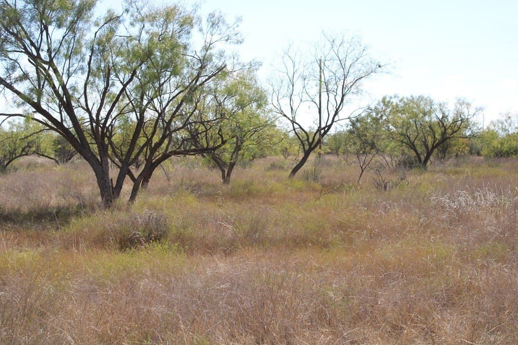 60 acres in Runnels County - photo 7