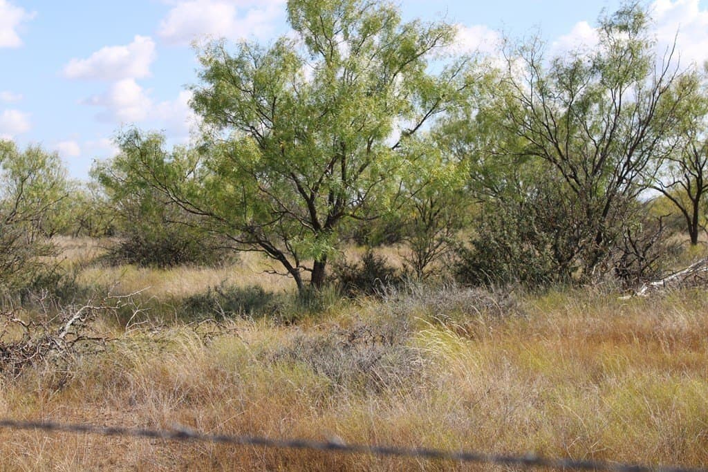 60 acres in Runnels County - photo 21