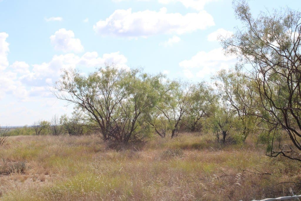 60 acres in Runnels County - photo 22