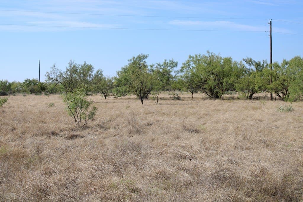 60 acres in Runnels County - photo 4