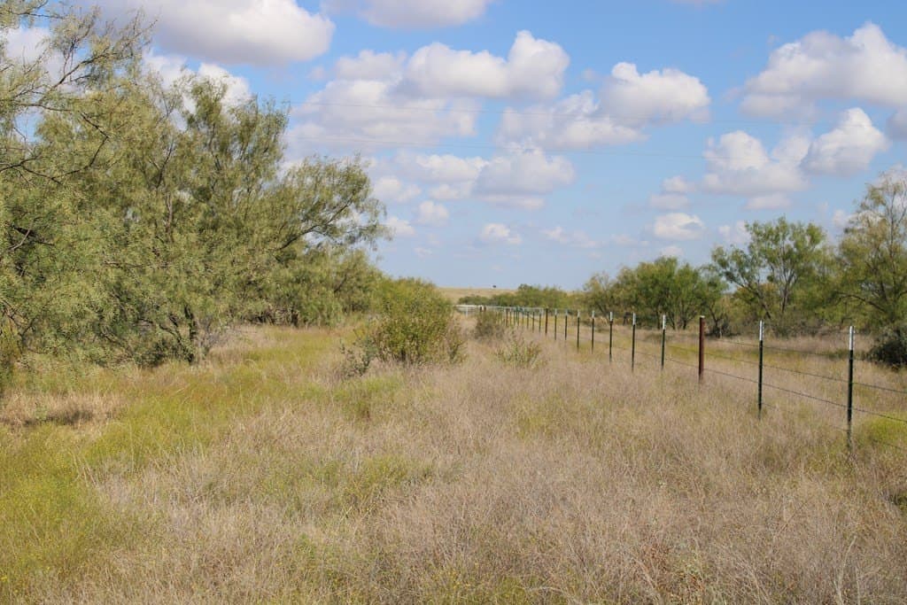 60 acres in Runnels County - photo 19