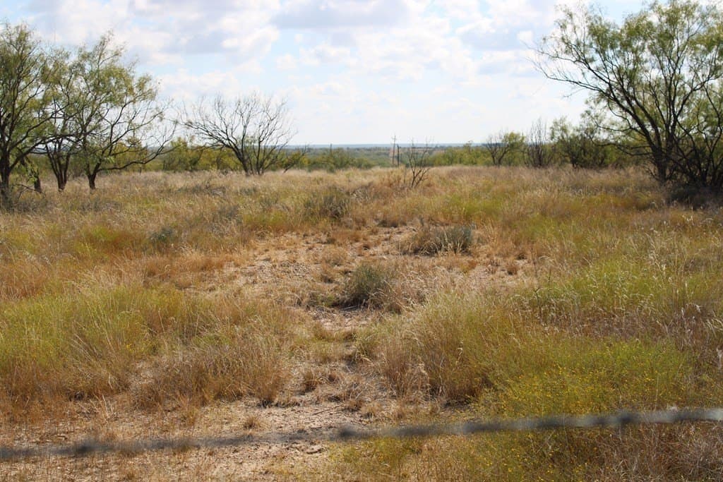 60 acres in Runnels County - photo 20