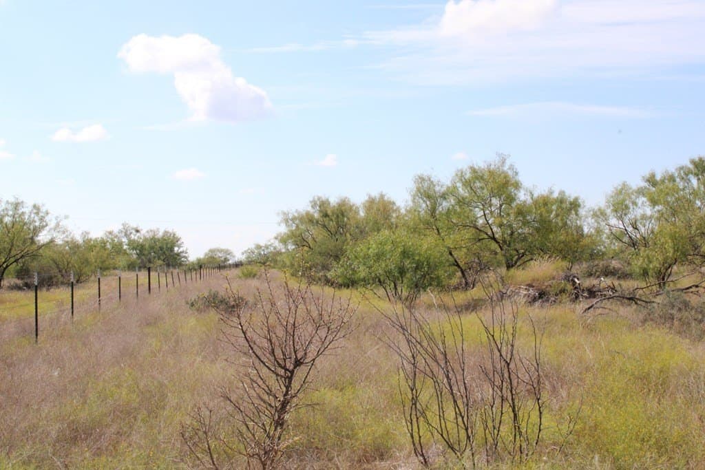 60 acres in Runnels County - photo 18