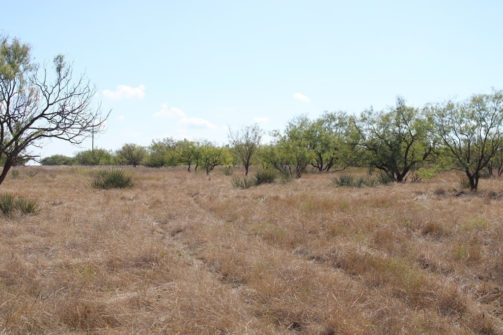 60 acres in Runnels County - photo 2