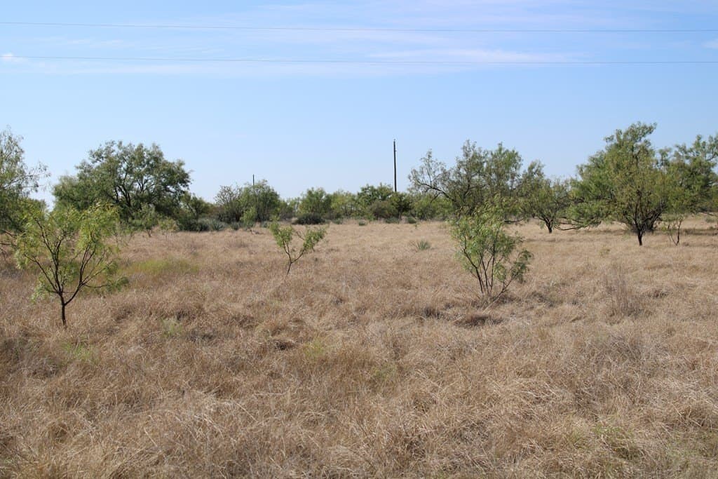 60 acres in Runnels County - photo 5