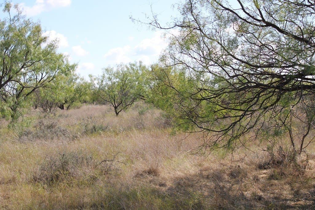 60 acres in Runnels County - photo 9