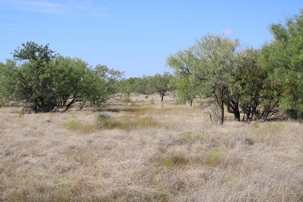 60 acres in Runnels County - photo 6